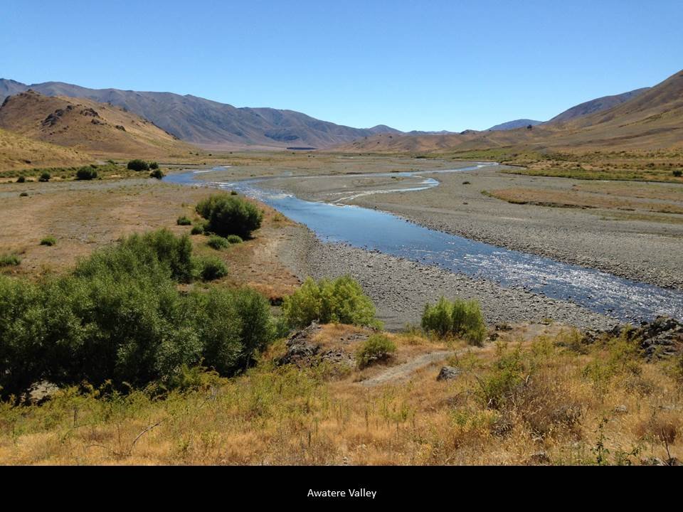 21.jpg (108766 bytes)